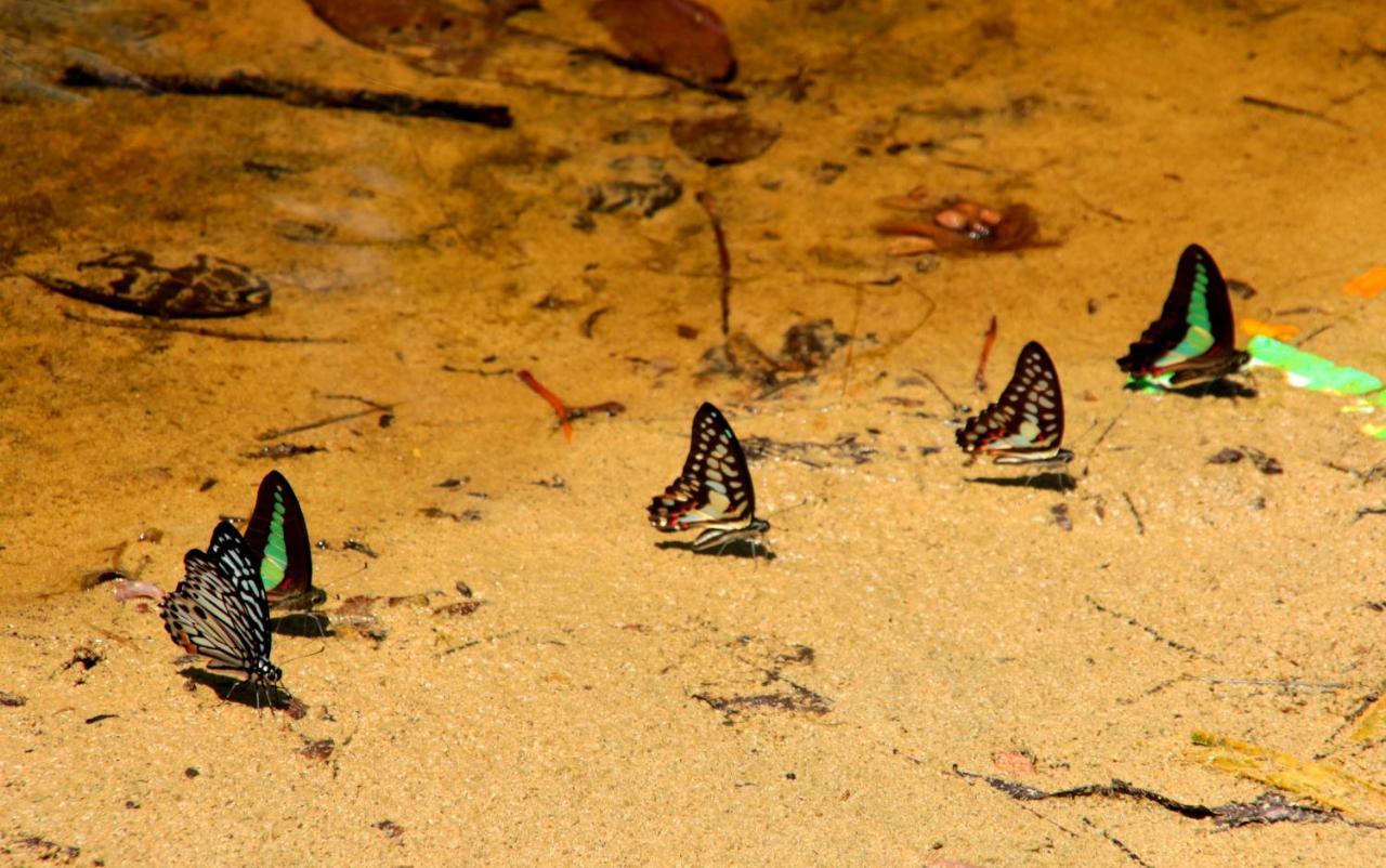 Arkadia Beach Resort Underground River Сабанг Экстерьер фото